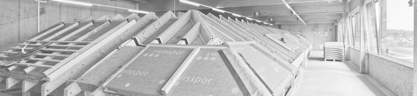 Praxisraum Steildach Praxisraum Steildach