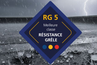 Header_News_R&eacute;sistance_Gr&ecirc;le_Long_FR