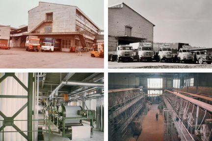 Raster Geschichte Bilder Geschichte Bilder