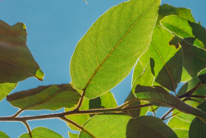 alexander-cifuentes-K8QraCiuUGI-unsplash alexander-cifuentes-K8QraCiuUGI-unsplash