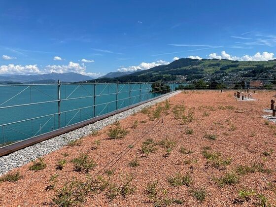 SAFSYS_Höhensicherung_Foto_08